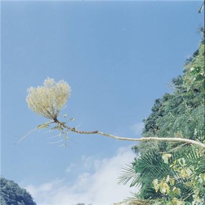 江南体育登录入口